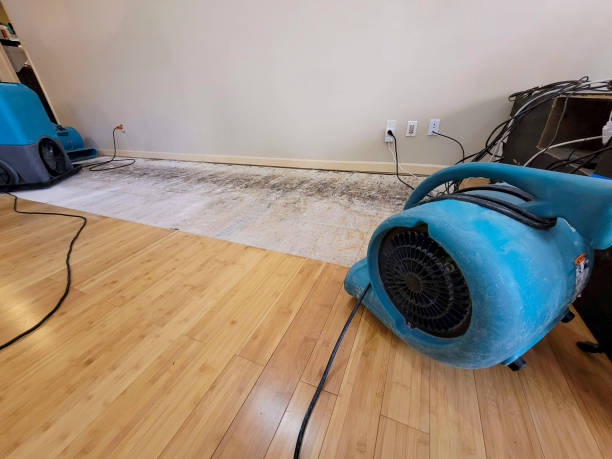 Reliable Basement Flood Cleanup contractor in Detroit, MI by Hirex Water Damage