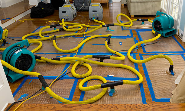 Professional Basement Flood Cleanup technician working in Detroit, MI